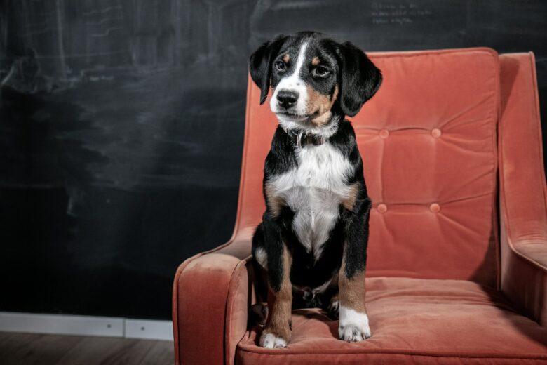 Bandhu-Head-of-Security
