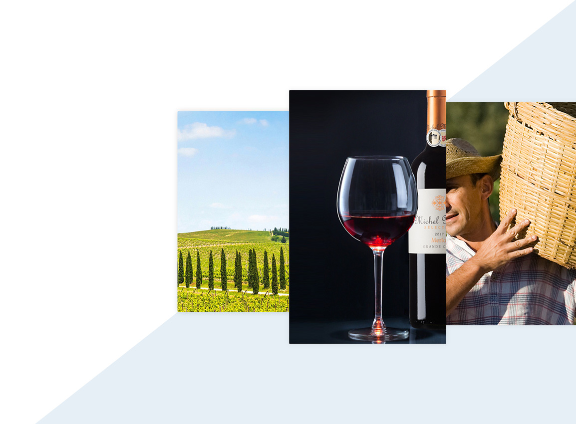 Weingut.de